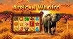 VPower Hadirkan African Wildlife, Slot Wajib Coba!